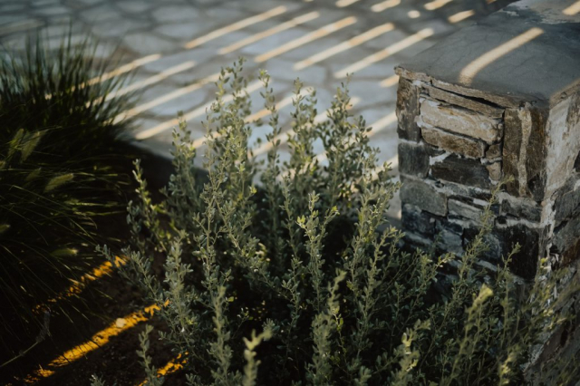 Villa Nectar | Serifos Cyclades